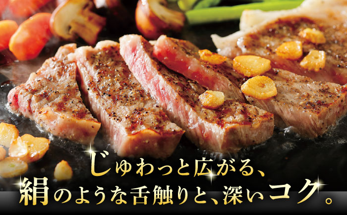 A5等級 飛騨牛 サーロインステーキ 800g (200g×4P) 瑞浪市 / マルチョウ渡辺精肉店 牛肉 和牛 国産 ギフト お取り寄せ [AZCW016] 800g