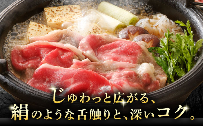 A5等級 飛騨牛 ローススライス 1kg (約500g×2P) すき焼き しゃぶしゃぶ 瑞浪市 / マルチョウ渡辺精肉店 牛肉 和牛 国産 ギフト お取り寄せ すきしゃぶ [AZCW022] 1kg