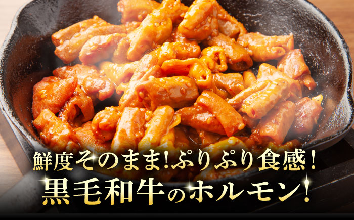 岐阜県産 黒毛和牛ホルモン 味噌 900g （300g×3袋） 瑞浪市 / マルチョウ渡辺精肉店 和牛ホルモン 焼肉 炒め 国産 [AZCW054] 900g （300g×3袋）