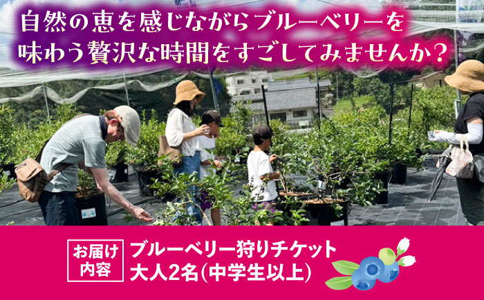 ブルーベリーファーム瑞浪 ブルーベリー狩り 90分 大人(中学生以上) 2名様分 チケット [AZCX001]