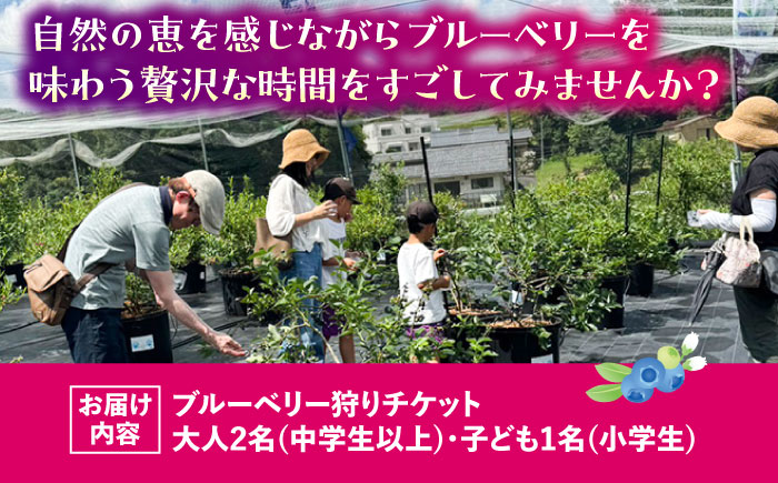 ブルーベリーファーム瑞浪 ブルーベリー狩り 90分 大人(中学生以上)2名様 ・ 子ども(小学生)1名様 チケット [AZCX002]