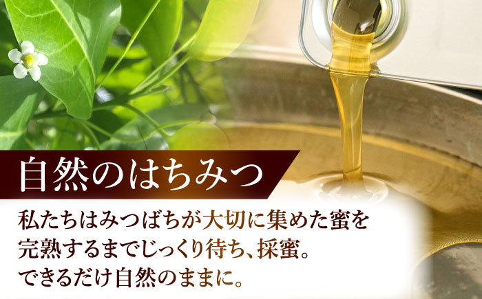 東美濃厳選 季節のはちみつ 味わい極ギフト 120g×6本 瑞浪市 / 堀養蜂園 おまかせ 蜂蜜 国産 [AZCF003]