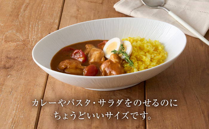 【美濃焼】 miyama.のカレーとパスタのうつわ クリース 白磁 2個 瑞浪市 / ミヤマプランニング 食器 皿 プレート [AZCM052]