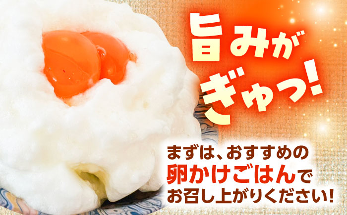かつまた玉子 中玉パック 30個 (25個+割れ保証5個) 瑞浪市 / かつまた玉子 卵 たまご タマゴ 鶏卵 [AZAQ001]