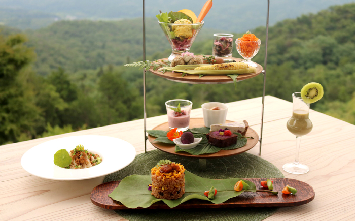 カフェー清涯荘 SEIGAISO 『天空ラウンジ』 ヴィーガンコースランチ お食事券 2名分 瑞浪市 [AZBI005]