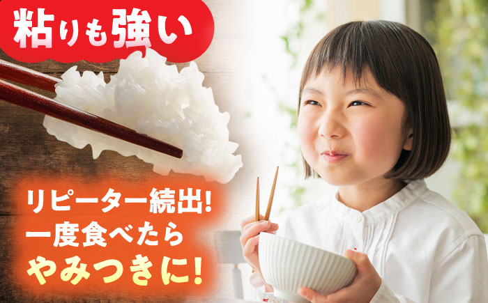 ＼お申込みは12月31日まで！／ 令和7年産 栽培期間中農薬化学肥料不使用米 無洗米 岐阜県産 ミルキークイーン 5kg がんばろ米 瑞浪市 / 農事組合法人日吉機械営農組合 [AZBW007]