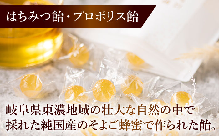 そよご蜜 × 飴 × お酒 東濃地域 そよごとミード酒セット 瑞浪市 / 堀養蜂園 はちみつ 蜂蜜 国産 [AZCF008]