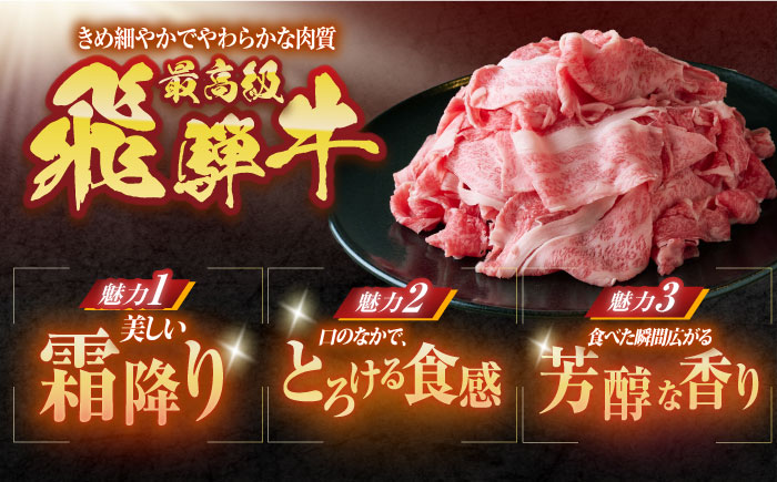 ※冷蔵配送/地域限定※ 飛騨牛 小間切 (大) 500g×2セット 瑞浪市 / きなぁた瑞浪 和牛 国産 岐阜県産 [AZCI027]