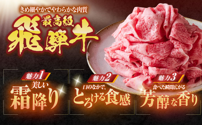 ※冷蔵配送/地域限定※ 飛騨牛 切落し (ロースまたは肩ロース) 600g 瑞浪市 / きなぁた瑞浪 和牛 国産 岐阜県産 [AZCI029]