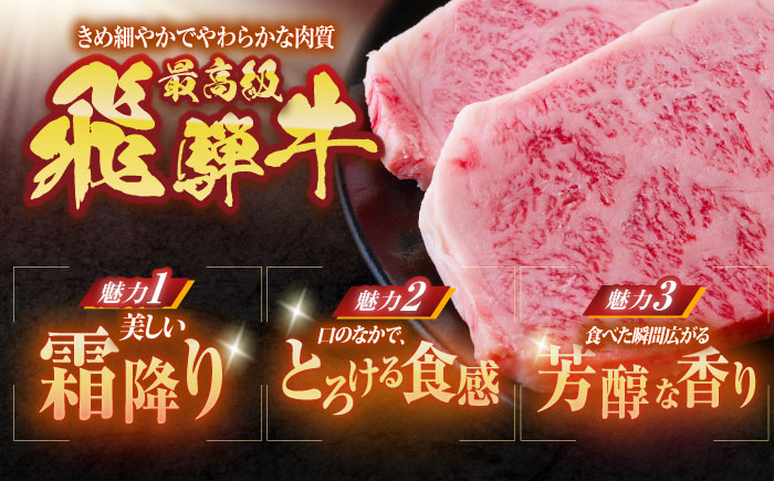 ※冷蔵配送/地域限定※ 飛騨牛 サーロインステーキ 240g×2枚 瑞浪市 / きなぁた瑞浪 和牛 国産 岐阜県産 [AZCI034]