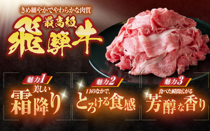 【12回定期便】 ※冷蔵配送/地域限定※ 飛騨牛 小間切 (大) 500g×2セット 瑞浪市 / きなぁた瑞浪 和牛 国産 岐阜県産 [AZCI073]