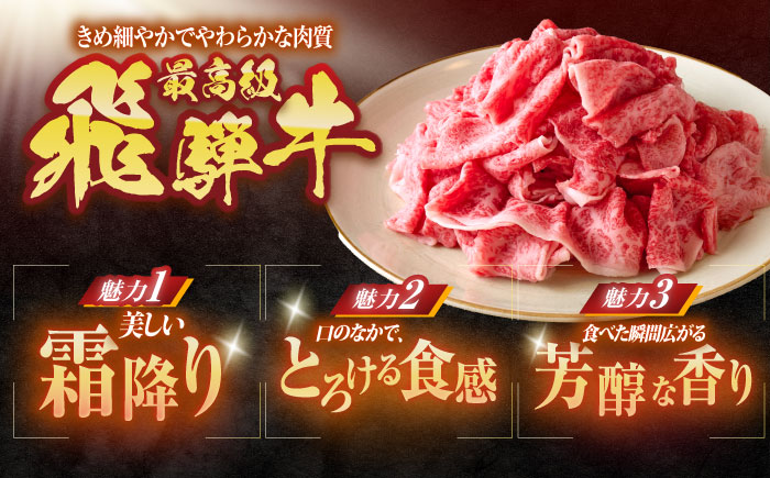 【3回定期便】 ※冷蔵配送/地域限定※ 飛騨牛 切落し (モモまたはカタ) 700g 瑞浪市 / きなぁた瑞浪 和牛 国産 岐阜県産 [AZCI074]