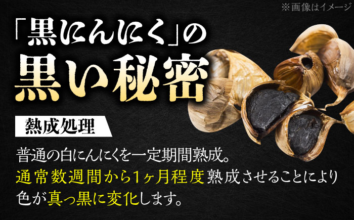 【12/22までの決済で年内発送】国産 黒にんにくゼリー 1か月分(12g×31本) 瑞浪市 / 国産ムラセの熟成黒にんにく 黒にんにく ゼリー 青森県産 ニンニク [AZCO011]