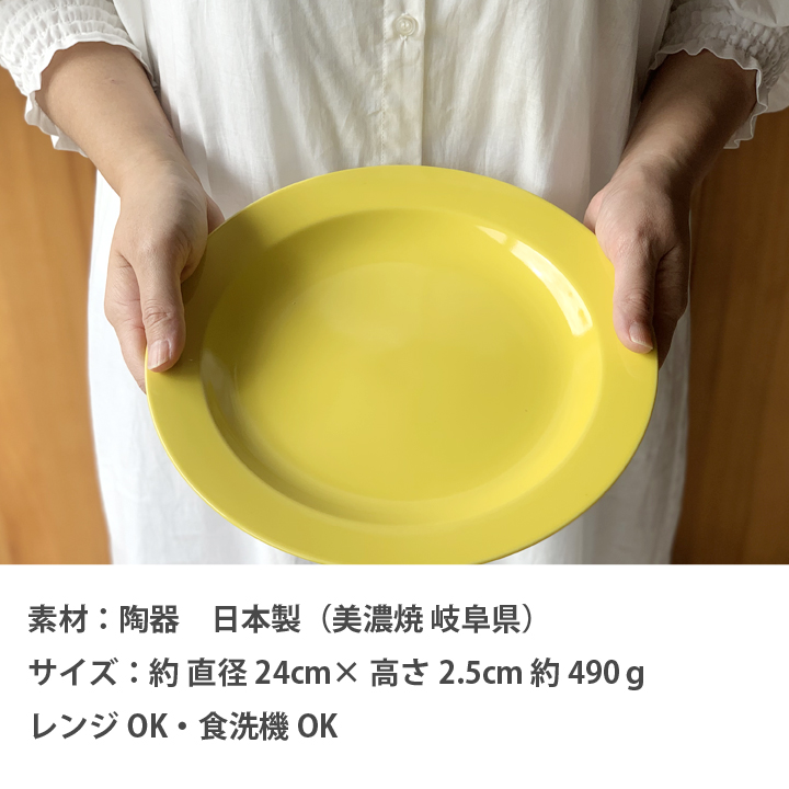 【美濃焼】  リムプレート 24cm 白マット 瑞浪市 / 窯元ロングアイランド ワンプレート皿 パスタ皿 おしゃれ 食器 シンプル レンジ対応 食洗機対応 [AZCU154] 白マット