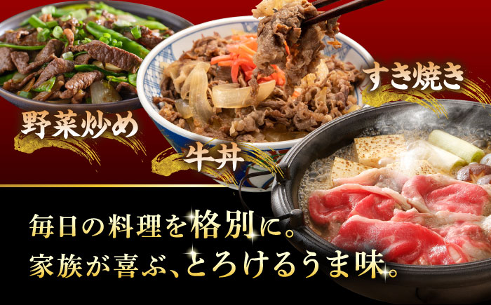 【12/22までの決済で年内発送】A5等級 飛騨牛 切り落とし 500g (250g×2P) 瑞浪市 / マルチョウ渡辺精肉店 牛肉 和牛 国産 ギフト お取り寄せ [AZCW001]