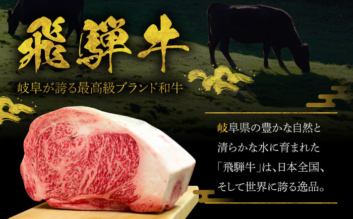 A5等級 飛騨牛 モモスライス 500g 瑞浪市 / マルチョウ渡辺精肉店 牛肉 和牛 国産 ギフト お取り寄せ すきしゃぶ [AZCW023] 500g
