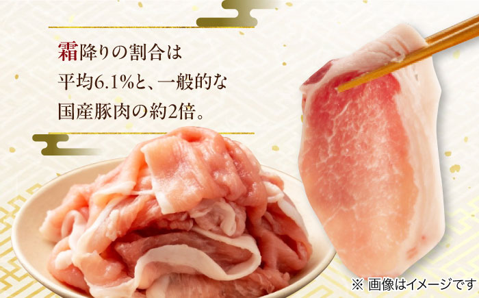 【12/22までの決済で年内発送】瑞浪ボーノポーク 焼肉用 4種盛りセット (ロース・肩ロース・バラ・小間切れ) 計1.2kg 瑞浪市 / マルチョウ渡辺精肉店 冷凍 小分け 豚肉 国産 [AZCW038] 1.2kg