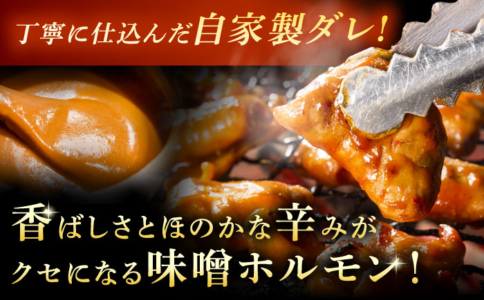 岐阜県産 黒毛和牛ホルモン 味噌 600g （300g×2袋） 瑞浪市 / マルチョウ渡辺精肉店 和牛ホルモン 焼肉 炒め 国産 [AZCW053] 600g （300g×2袋）