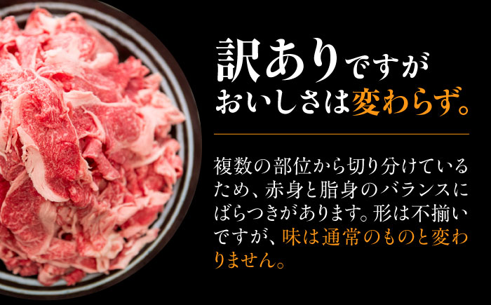 飛騨牛 切り落とし 280g 瑞浪市 /  冷凍 赤身 和牛 訳あり お試し [AZDB002] 280g