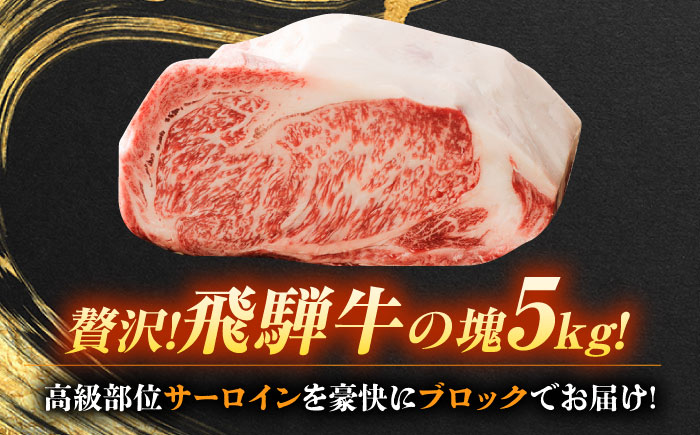 飛騨牛 サーロイン ブロック 5kg 瑞浪市 /  冷凍 和牛 ギフト [AZDB014]