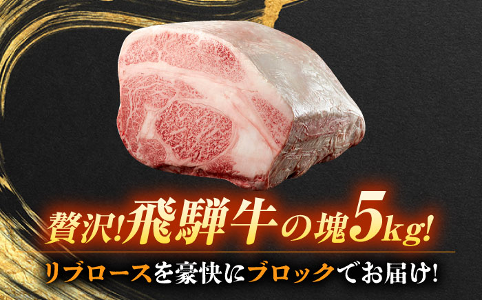 飛騨牛 リブロース ブロック 5kg 瑞浪市 /  冷凍 和牛 ギフト [AZDB015]
