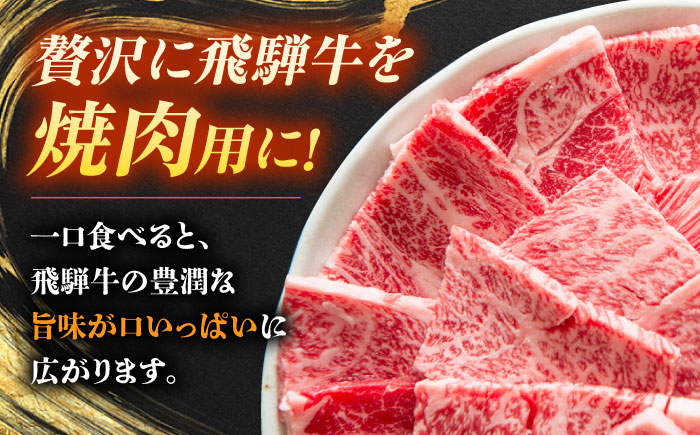 飛騨牛 焼肉 BBQ用 600ｇ 瑞浪市 /  冷凍 ロース 肩ロース 和牛 ギフト [AZDB016]