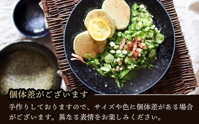 【美濃焼】 テラグラーズ サラダプレート インディゴ 5客揃 瑞浪市 / アワサカ 食器 皿 プレート [AZAD026]