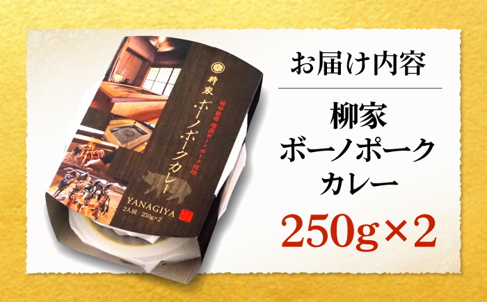 【12/22までの決済で年内発送】柳家 ボーノポークカレー 250g×2個 瑞浪市 / 陶ホープフル レトルト スパイス ギフト [AZBC001]