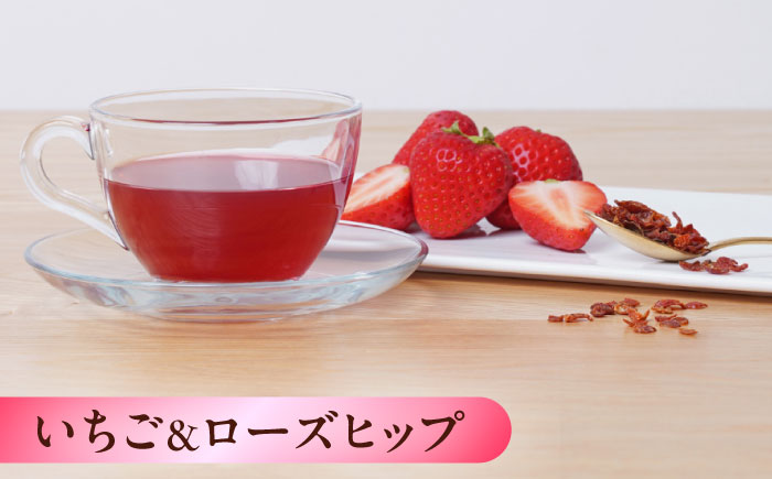 おいしい ハーブティー 12種 飲み比べ セット 各10個入 瑞浪市 / 生活の木 瑞浪ファクトリー直送 お茶 カフェインレス [AZBE073]