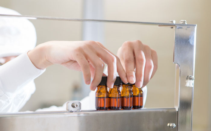 【1名様無料クーポン】 生活の木 工場見学＆ワークショップ体験 in瑞浪ファクトリー 瑞浪市 / 生活の木 [AZBE074]