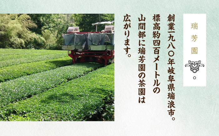 【岐阜県瑞浪市産】 お茶飲み比べセット C 上煎茶・上ほうじ茶 【増量】 瑞浪市 / 成瀬農場 瑞芳園 国産 お茶 [AZBP009]