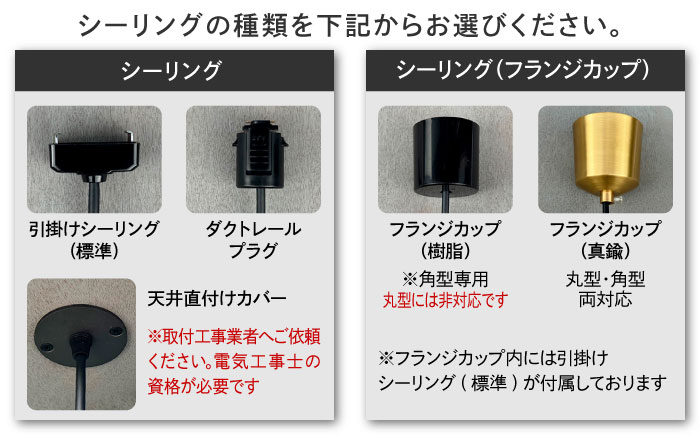 CTSH LIGHT. ペンダントライト＜HEXAGON ブラッククロム E17＞ 瑞浪市 / ジオニック 照明器具 ソケット 鉄 ブラック [AZBQ093]