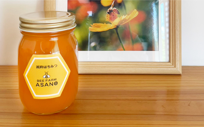 【12/22までの決済で年内発送】純粋ハチミツ アカシア 500g×1 瑞浪市 / honey shop Bee farm asano 蜂蜜 はちみつ [AZBT002]