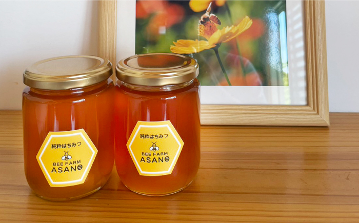 【12/22までの決済で年内発送】純粋ハチミツ 野山の花 300g×2 瑞浪市 / honey shop Bee farm asano 蜂蜜 はちみつ [AZBT004]