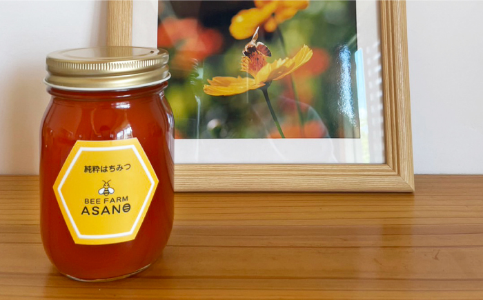 【12/22までの決済で年内発送】純粋ハチミツ 野山の花 500g×1 瑞浪市 / honey shop Bee farm asano 蜂蜜 はちみつ [AZBT005]