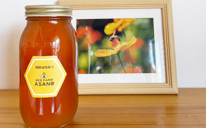 【12/22までの決済で年内発送】純粋ハチミツ 野山の花 1,000g×1 瑞浪市 / honey shop Bee farm asano 蜂蜜 はちみつ [AZBT006]