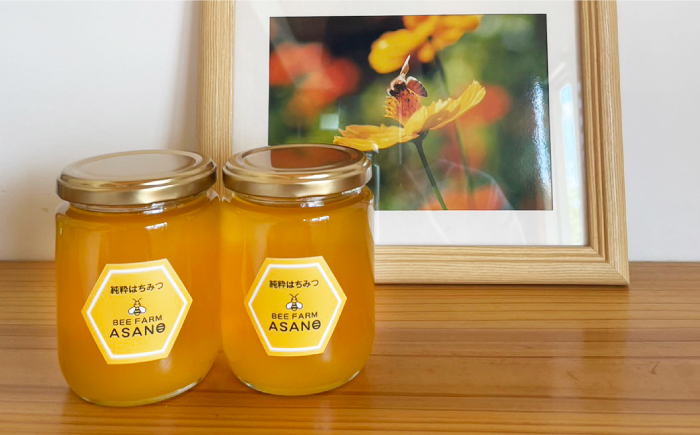 【12/22までの決済で年内発送】純粋ハチミツ 山桜 300g×2 瑞浪市 / honey shop Bee farm asano 蜂蜜 はちみつ [AZBT007]