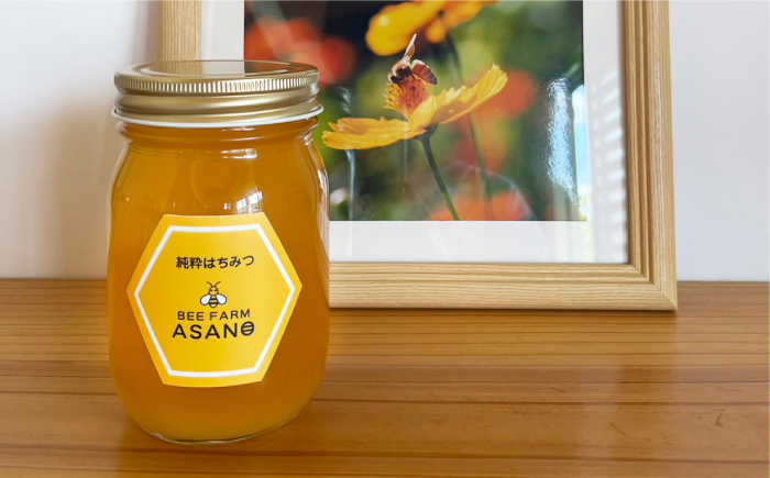 【12/22までの決済で年内発送】純粋ハチミツ 山桜 500g×1 瑞浪市 / honey shop Bee farm asano 蜂蜜 はちみつ [AZBT008]
