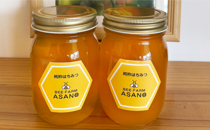 【12/22までの決済で年内発送】純粋ハチミツ 山桜 500g×2 瑞浪市 / honey shop Bee farm asano 蜂蜜 はちみつ [AZBT009]