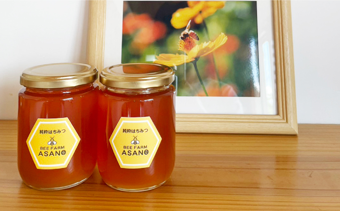 【12/22までの決済で年内発送】純粋ハチミツ ソヨゴ 300g×2 瑞浪市 / honey shop Bee farm asano 蜂蜜 はちみつ [AZBT010]