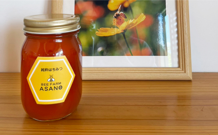【12/22までの決済で年内発送】純粋ハチミツ ソヨゴ 500g×1 瑞浪市 / honey shop Bee farm asano 蜂蜜 はちみつ [AZBT011]