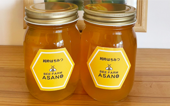 【12/22までの決済で年内発送】純粋ハチミツ 2種セット (アカシア500g×1 山桜500g×1) 瑞浪市 / honey shop Bee farm asano 蜂蜜 はちみつ [AZBT013]