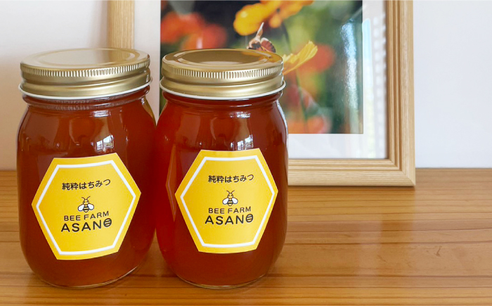 【12/22までの決済で年内発送】純粋ハチミツ 2種セット (野山の花500g×1 ソヨゴ500g×1) 瑞浪市 / honey shop Bee farm asano 蜂蜜 はちみつ [AZBT014]