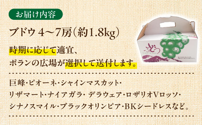 【期間限定】 ブドウ 4～7房 約1.8kg 瑞浪市 / NPO法人ポランの広場 葡萄 ぶどう [AZCE002]
