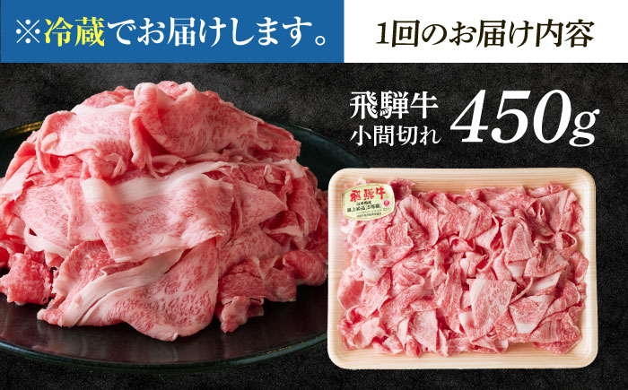 【12回定期便】 ※冷蔵配送/地域限定※ 飛騨牛 小間切 450g 瑞浪市 / きなぁた瑞浪 和牛 国産 岐阜県産 [AZCI070]