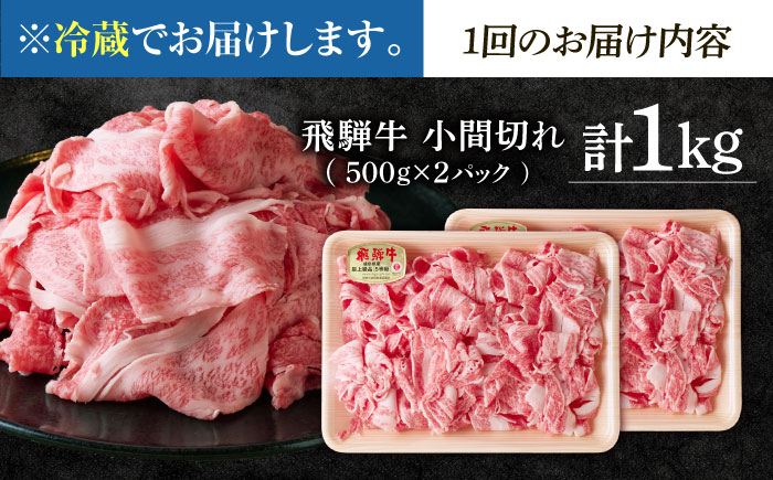【3回定期便】 ※冷蔵配送/地域限定※ 飛騨牛 小間切 (大) 500g×2セット 瑞浪市 / きなぁた瑞浪 和牛 国産 岐阜県産 [AZCI071]