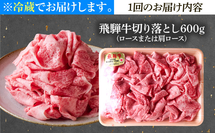 【6回定期便】 ※冷蔵配送/地域限定※ 飛騨牛 切落し (ロースまたは肩ロース) 600g 瑞浪市 / きなぁた瑞浪 和牛 国産 岐阜県産 [AZCI078]