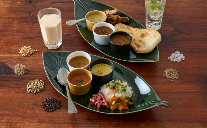 【美濃焼】 miyama.のカレーのうつわ 葉っぱのカレー皿 4点セット 瑞浪市 / ミヤマプランニング 食器 プレート カップ [AZCM062]