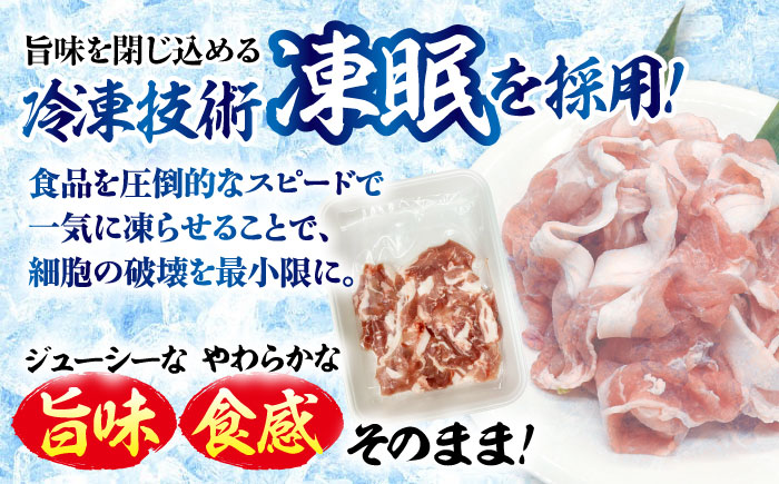【12/22までの決済で年内発送】国産豚 焼豚 計800g 瑞浪市 / マルチョウ渡辺精肉店 焼き豚 国産 大容量 [AZCW029]