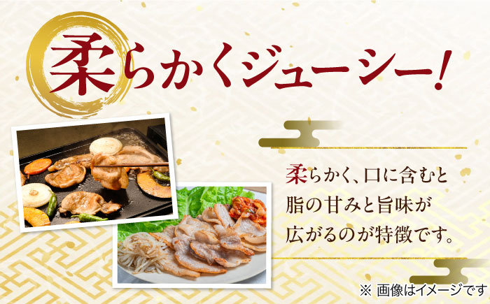 【12/22までの決済で年内発送】瑞浪ボーノポーク 焼肉用 4種盛りセット (ロース・肩ロース・バラ・小間切れ) 計1.2kg 瑞浪市 / マルチョウ渡辺精肉店 冷凍 小分け 豚肉 国産 [AZCW038] 1.2kg